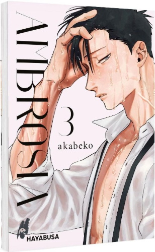 Buchcover und Innenansicht für das Buch: Mitsuka