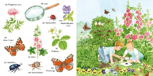 Buchcover und Innenansicht für das Buch: Mein kleines buntes Bildwörterbuch: Krabbeltiere und Blümchen