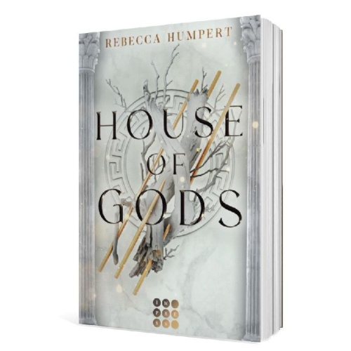 Buchcover und Innenansicht für das Buch: House of Gods