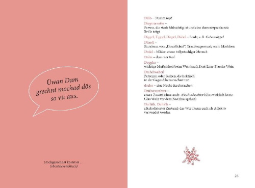Buchcover und Innenansicht für das Buch: Sprechen Sie Österreichisch