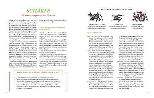 Buchcover und Innenansicht für das Buch: School of Taste veggie