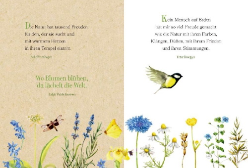 Buchcover und Innenansicht für das Buch: So viele Gründe zum Lächeln