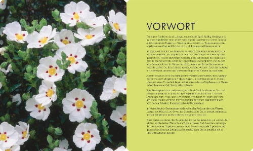 Buchcover und Innenansicht für das Buch: So geht Garten