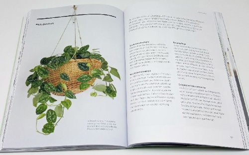 Buchcover und Innenansicht für das Buch: The New Plant Parent. Develop Your Green Thumb and Care for Your House-Plant Family