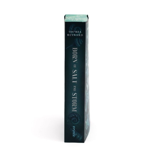 Buchcover und Innenansicht für das Buch: Born of Salt and Storm