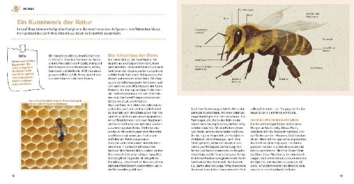 Buchcover und Innenansicht für das Buch: Bienen Basics