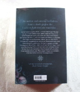 Buchcover und Innenansicht für das Buch: Shades of Wicked (Night Rebel 1)