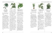 Buchcover und Innenansicht für das Buch: Der Garten der Grünen Magie