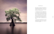 Buchcover und Innenansicht für das Buch: American Amazon