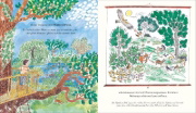 Buchcover und Innenansicht für das Buch: Green: The Story of Plant Life on Our Planet