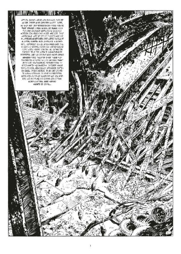 Buchcover und Innenansicht für das Buch: Metro 2033. Band 1 (Splitter Diamant Vorzugsausgabe)