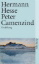 Buchcover und Innenansicht für das Buch: Peter Camenzind