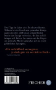 Buchcover und Innenansicht für das Buch: Der große Kater