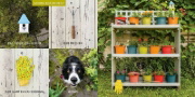 Buchcover und Innenansicht für das Buch: Let's find Momo!