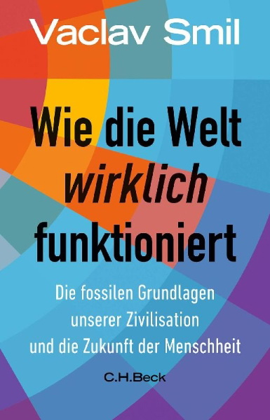 Buchcover und Innenansicht für das Buch: How the World Really Works