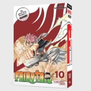 Buchcover und Innenansicht für das Buch: Fairy Tail