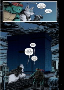 Buchcover und Innenansicht für das Buch: Teenage Mutant Ninja Turtles IDW Collection 10