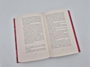 Buchcover und Innenansicht für das Buch: Dusk