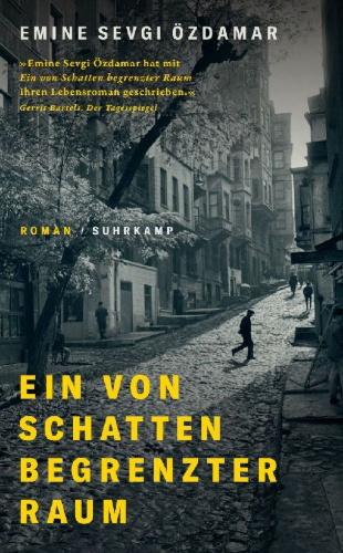 Buchcover und Innenansicht für das Buch: Ein von Schatten begrenzter Raum