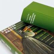 Buchcover und Innenansicht für das Buch: Giù la piazza non c'è nessuno