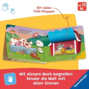 Buchcover und Innenansicht für das Buch: Wo seid ihr, kleine Kätzchen?
