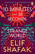 Buchcover und Innenansicht für das Buch: 10 Minutes 38 Seconds in this Strange World