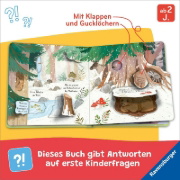 Buchcover und Innenansicht für das Buch: Let's explore: The woods
