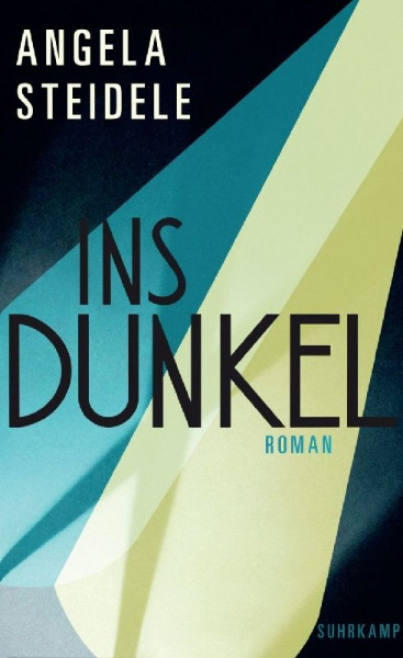 Buchcover und Innenansicht für das Buch: Ins Dunkel