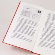 Buchcover und Innenansicht für das Buch: Volkswagen Blues