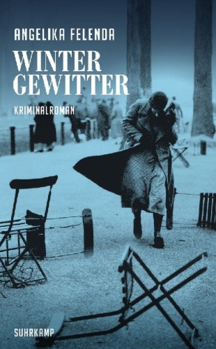 Buchcover und Innenansicht für das Buch: Wintergewitter