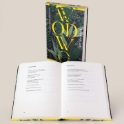Buchcover und Innenansicht für das Buch: N.N.