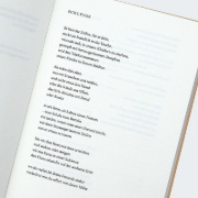 Buchcover und Innenansicht für das Buch: A year of last things
