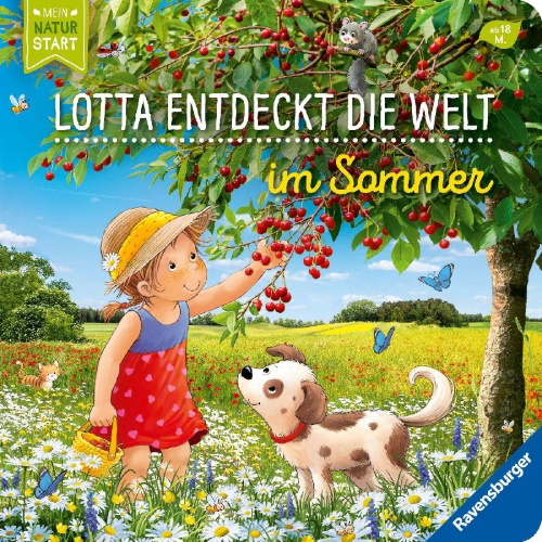 Buchcover und Innenansicht für das Buch: Entdecke den Sommer mit Lotta