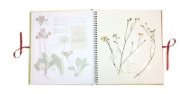 Buchcover und Innenansicht für das Buch: Humlans herbarium