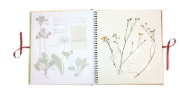 Buchcover und Innenansicht für das Buch: Humlans herbarium