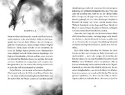 Buchcover und Innenansicht für das Buch: Attie and the Silt and Treasure Guild