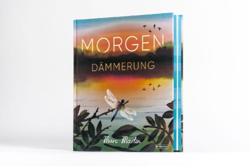 Buchcover und Innenansicht für das Buch: Dawn