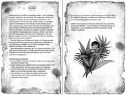 Buchcover und Innenansicht für das Buch: Survival - Im Auge des Alligators