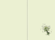 Buchcover und Innenansicht für das Buch: Der magische Blumenladen 07: Das verhexte Turnier