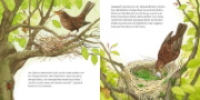 Buchcover und Innenansicht für das Buch: LESEMAUS 108: Das Vogelnest
