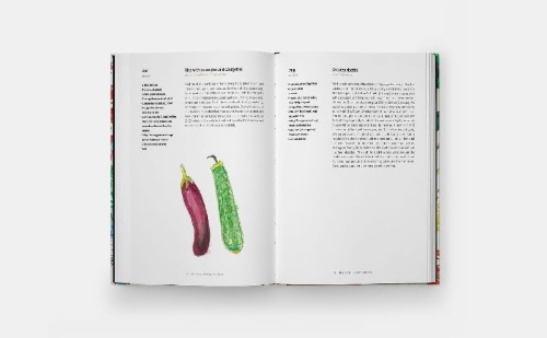 Buchcover und Innenansicht für das Buch: Spain