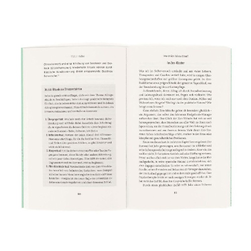 Buchcover und Innenansicht für das Buch: Glimmer