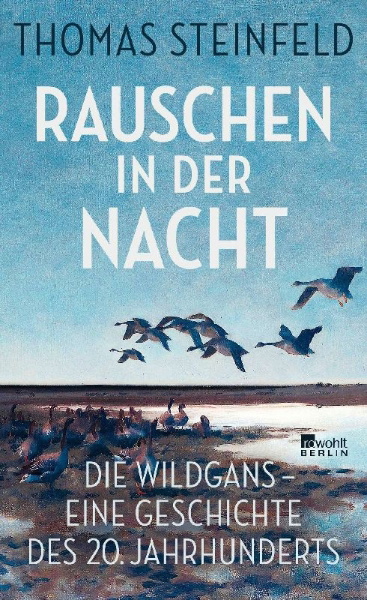 Buchcover und Innenansicht für das Buch: Rauschen in der Nacht