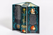 Buchcover und Innenansicht für das Buch: Seven Deadly Thorns Book 1