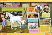 Buchcover und Innenansicht für das Buch: Bibi & Tina: Mein großes Fanbuch