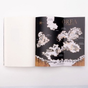Buchcover und Innenansicht für das Buch: Glint