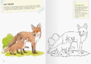 Buchcover und Innenansicht für das Buch: Mein großes Natur-Malbuch