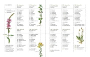 Buchcover und Innenansicht für das Buch: Die ganze Welt der Heilpflanzen