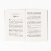 Buchcover und Innenansicht für das Buch: Lord of Gold and Glory
