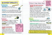 Buchcover und Innenansicht für das Buch: Big Fat Notebook